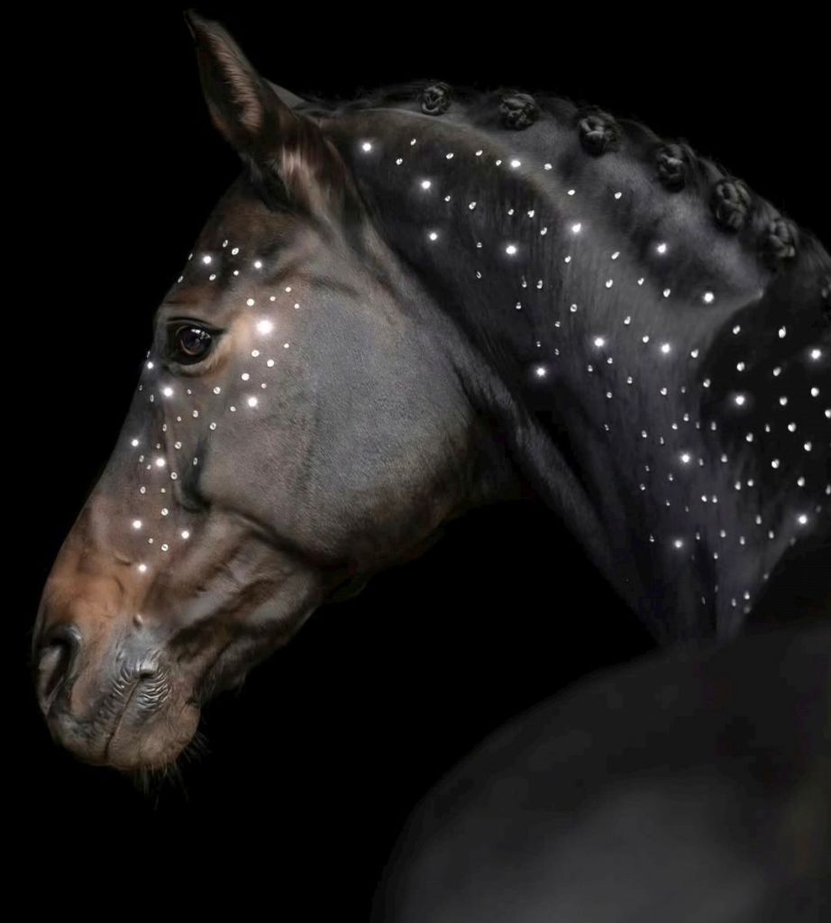 wp-17718560798333858593440395613886